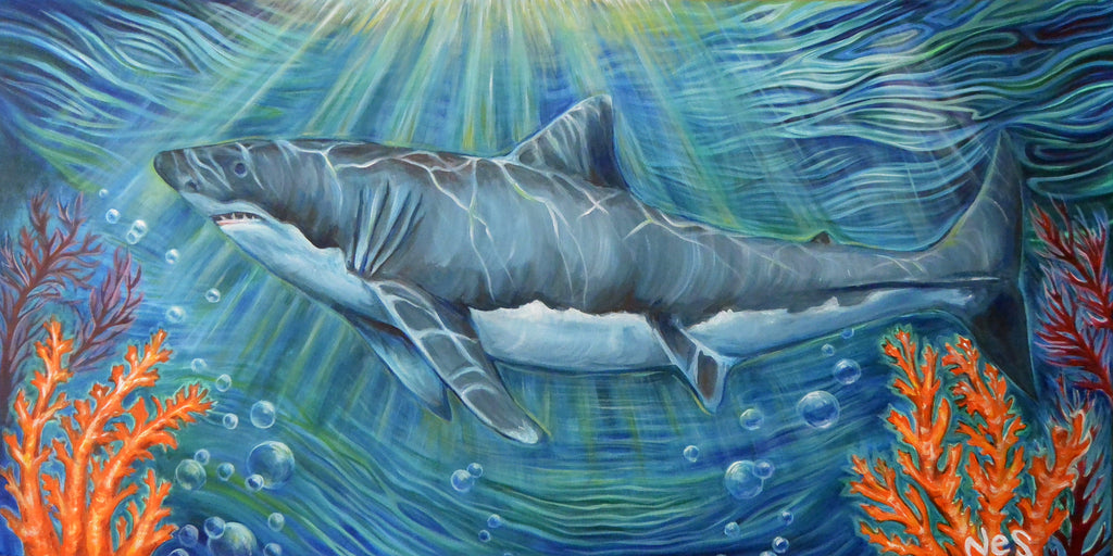 The Shark on canvas
